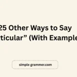 Other Ways to Say “Particular”