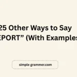 Other Ways to Say “REPORT”