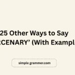 Other Ways to Say ‘MERCENARY’