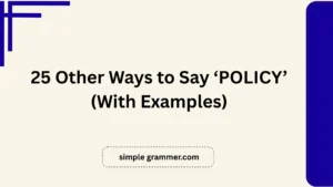 Other Ways to Say ‘POLICY’