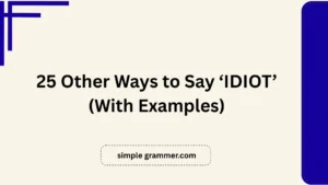 Other Ways to Say ‘IDIOT’