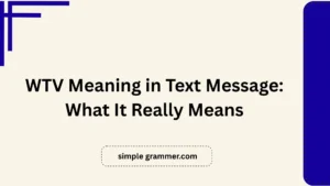 WTV Meaning