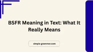 BSFR Meaning